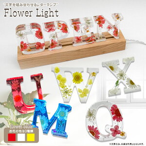 ZEROJAPAN イニシャルオブジェ A〜M 中型 (H)6cm×(D)2cm ハーバリウム風 花入り アルファベットオブジェ アクリル製文字 英数字