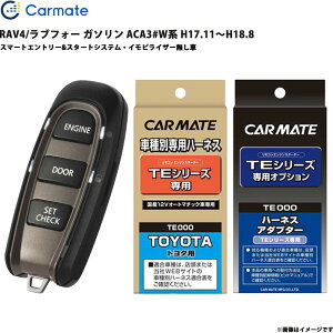 �G���W���X�^�[�^�[ �Z�b�g RAV4/���u�t�H�[ �K�\���� ACA3#W�n H17.11�`H18.8 �G���X�^ TE-W5200 + TE104 + TE202 �J�[���C�g