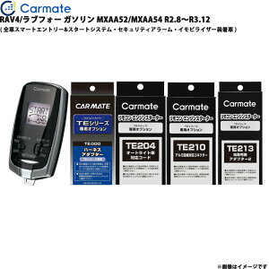 �G���W���X�^�[�^�[ �Z�b�g RAV4/���u�t�H�[ �K�\���� MXAA52/MXAA54 R2.8�`R3.12 �G���X�^ TE-W73PSB + TE162 + TE204 + TE210 + TE213 + TE207 �J�[���C�g