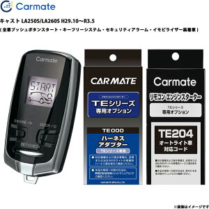 �G���W���X�^�[�^�[ �Z�b�g �L���X�g LA250S/LA260S H29.10�`R3.5 �G���X�^ �Ԏ�� TE-W73PSB + TE160 + TE204 �J�[���C�g