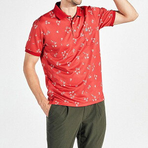 }VOEFA Y |Vc  StEGA TXN[ bg { MG5SHS34M 2025 H a MtgDKi