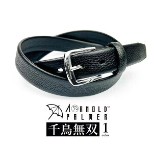 Arnold Palmer A[mhp[}[ AU[ 璹o VO sobN xg