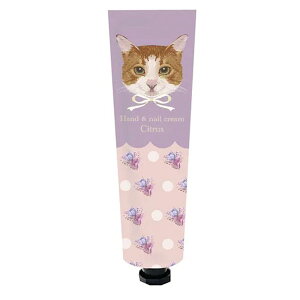 nhN[ 1 @LpbP[W 2025N ̓ MtgDKi