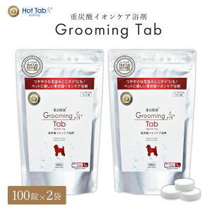 yzO[~O^u dY_CIPA /Lybgppϗ 100 2܃Zbg (zbgAoY_^ubg)