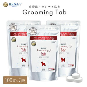 yzO[~O^u dY_CIPA /Lybgppϗ 100 3܃Zbg (zbgAoY_^ubg)