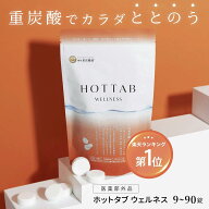 重炭酸入浴剤 ホットタブ [医薬部外品] 睡眠の質 改善 高める 血行促進 ウェルネス 薬用 HOT TAB ギフト …