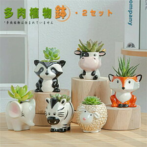 2Zbg Aؔ Z~bNXA  Zg  ^ v^[ 킢 ꌊt O[ 2 CeA    ̓Mtg Sinessy yVsX Vpi