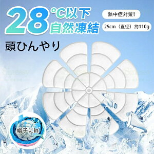 帽子 冷却 アイスキャップマット 2025新登場 頭部冷却 熱中症対策 再利用 冷却 冷却冷感 暑さ対策 猛暑対策 帽子 アイスキャップマット キャンプ 山登り 旅行 通勤 Sinessy 楽天市場店 新生活用