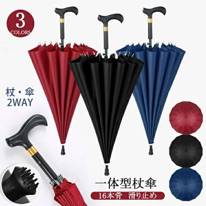 XebLP 16{ dݏ P Jp jp y ~ Y fB[X hV̓ v[g Sinessy yVsX Vpi