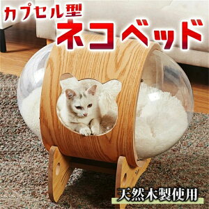 yzJvZ^ lRxbhVRؐC Lxbh ͌^ FD^ ؂̃xbh ˂xbh Q LP[W  NA AN   킢 Lpxbh k