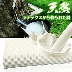  q ebNX VR LbY WjA ܂ s[ ᔽ  T|[g Jo[t   т h~ o^C 2023 v[g