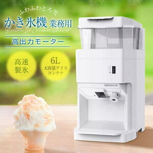 ƖpX@ 6Le 400kg/h o Xe߉\ dACXNbV[Ɨp ƒpӂӂ킩X {tizCgj