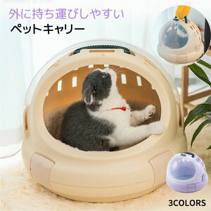 ybgL[?L  oL[ |[^uL[ ybgobO p Lp ^ L[obO obN P[W ybg L[ Q[W y ʋCǂ ϖC яoh~ B