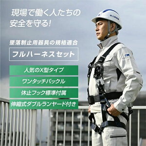 yYƈSZp F؍ς݁zVKiK tn[lXZbg ė~p ^b`obN Lk[ht S yʃf  dk-fhb-100