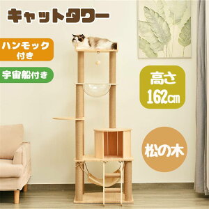 Lbg^[ u ؐ FD nbNt 162cm  R ܂Ƃ{[ VR  LnEX ^L qL Lxbh SS ybgpi ȃXy[X