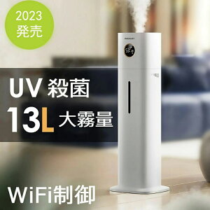 iۏ  O̕Sl͓ł yvVZp 3d 3d򉻁z A} 13L eʉ ƒp C C򉻊 Ɩp g  I