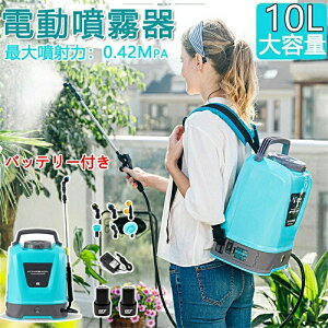  d [d mY 10L 12V w  R[hX e d\ 2600mAhobe[ ͒ A Lk`[u ɗD y  h ᑛ |  Ő 