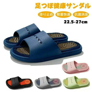 NT_ fB[X Y  CXbp N T_ fB[X  [V[Y c{T_ NXbp  }bT[WXbp fB[X Y C{C