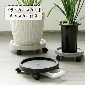 ϗtA A gC M TRAY PLANTS vcg[  L[u ԑ ~` LX^[t  M 󂯎M