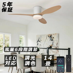 y2025VzV[Ot@Cg led V[Ot@ t@tƖ V[OCg  10 14 F