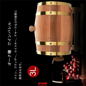 3L I[NM CM Co CoPc EBXL[ y r[M MoPc X^ht  ؐ Xg[W [pi ze Xg  ƒp