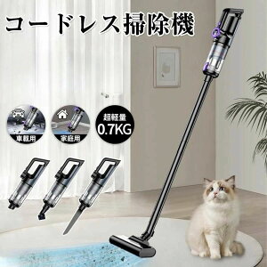 |@ R[hX [d ͋z lC TCN 48000Pa yʃnfB|@ 5WAY USB-TypeC[d XeBbN l炵 ȃGl  ԗp 2025