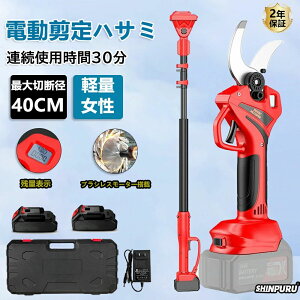 d΂ ΂ [d R[hX ؒfa30mm }؂虒΂ doT~ Z؂oT~ Z  250cm |[ } d`F[\[ }mRM |p 