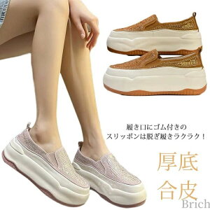 [Jbg Cq[ 傫TCY l 5cmq[ C Xj[J[  JWA  킢