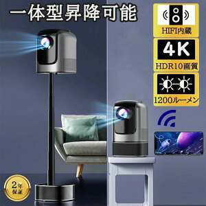 TV??^vWFN^[ ^ ƒp 4K tH[JX HIFIU 1200ANSI ~\ Netflix Android