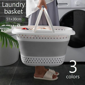 RpNg t p`Oz[ ʋC 51×30cm XNGA lp JS ܂肽 h[oXPbg