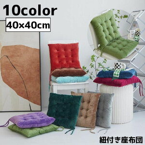 _Cj rO JWA Vv PF Rt XNGA lp ` 40cm ֎qpNbV NbV zc