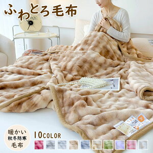 h ~M H~pGARJo[Q ӂƂXgCvѕz ѕz  ӂƂѕz