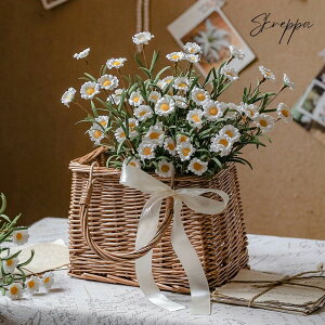 tFCNfC skreppa lHf[W[ ԃu[P e  f[W[ ԑ