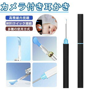 Jt ybg q l WiFiC[N[i[J CeWFgCX CLbg