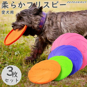 Jt L XgX V ptXr[  ybg _炩 ~ ނ 3Zbg  