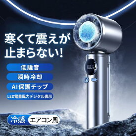 充 熱中症対策 ミニファン 5段階風量調節 7000mAh大容量 軽量 小型 瞬間冷却 冷却プレート ハンディファン 手持ち扇風機