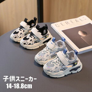 JW ~ ʉ X|[cC qǂ  ʋC tďH qC T_ q V[Y j̎q ̎q Xj[J[