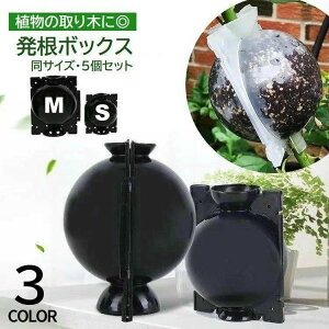 u }  |pi K[fjO ȒPt u  ɐB A ؃{[ 5Zbg {bNX