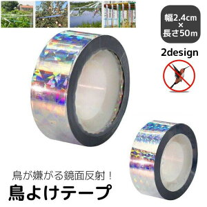 Q ˃e[v zO x_   ƒ؉ K[fjO JX悯 悯 50m e[v 悯e[v