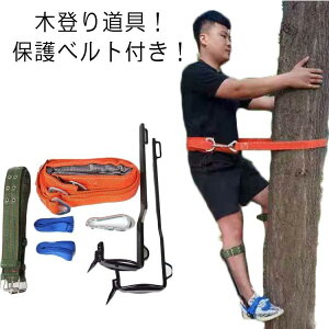 g dCH h~ ώ@ ؓo  oRp ω׏d100kg ʕI یxg ؓoC ؓo蓹 ƗpS