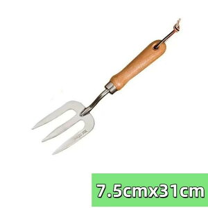 K[fjOc[ tH[N K[fjO |pi | nhtH[N |p XeX