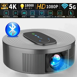 `␳ z[vWFN^[ ƒp 4KΉ Bluetooth5.3uڑ 5GWiFi A1080P 18000LMPx