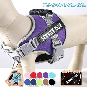 ybgpn[l ȒP Ȃ  nht  ^ ^ ^   O n[lX 