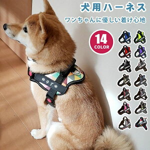 CjV  nht ȒP EȂ Ȃ   킢 ^ qD O n[lX 