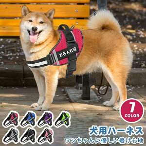 h CjV nht EȂ Ȃ   ȒP  qD O n[lX 