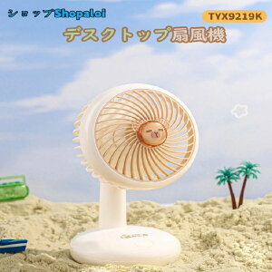 fUCŖڂDIType-C[d/1200mAhe/ ` t@