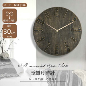 É v k h 蕶 y ^ ؐ i` Ǌ|v ؖ a30cm AiO g 