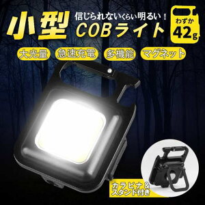 |PbgTCY USB[d ~jCg Ɠ ~jd d  LED Cg ^COB ledCg