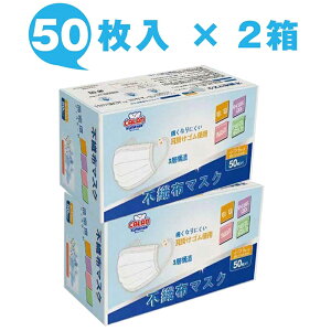 sDz }XN 50×2 ʋC K 3w\ h ho ԕ PM2.5  ECX AM[΍ ꂵȂ ֗ ĝ lp M[TCY jp