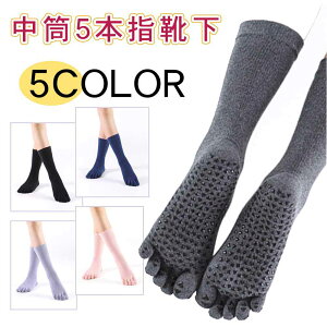 5{w \bNX fB[X ~ w Rbg Ȃ ےg z K X|[c C 22-25cm 1 2